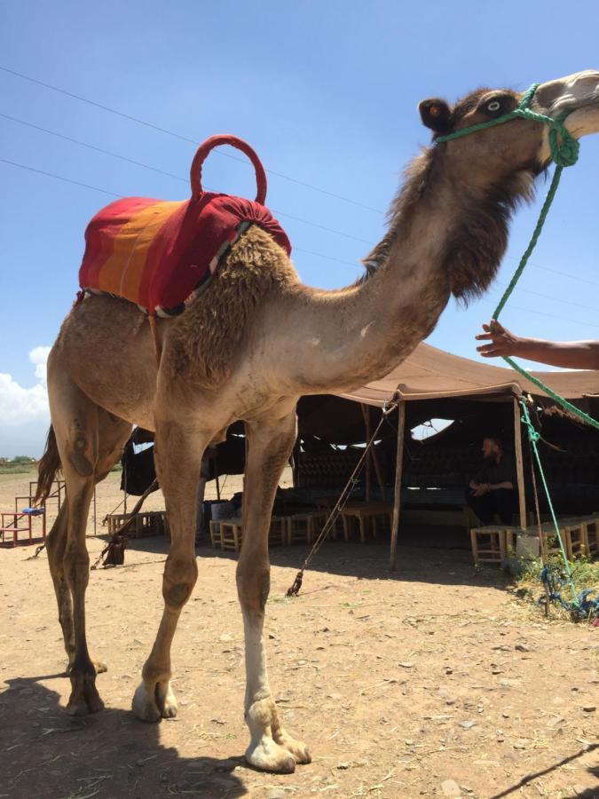 Riad Le Marrakech Berrima Маракеш Екстериор снимка